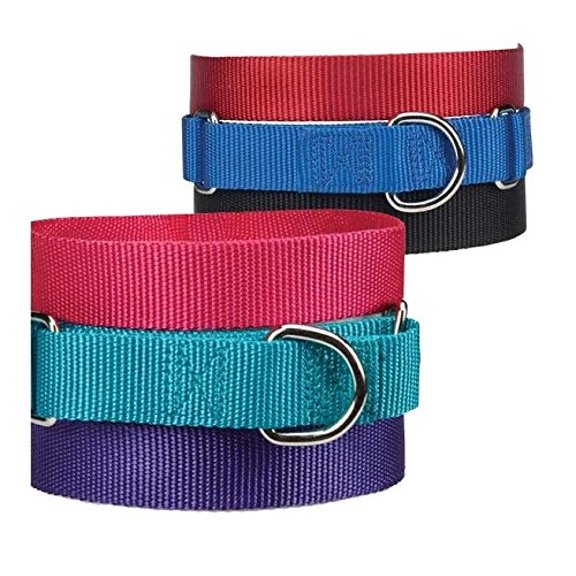 Asst Color Bulk Martingale Dog Collars Shelter Rescue Litter Pick Size/Quantity