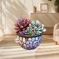 thumbnail image 1 of Ovzne Succulent Plant 2D Acrylic Pendant On Clearance, 1 of 7