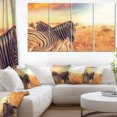 thumbnail image 1 of Design Art - Zebras Herd in Field At Sunset, 1 of 3