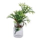 thumbnail image 3 of 1/12 Miniatura Resina Maceta Plantas Casa de Habitación Jardín Decoración Accesorio N.  degree 2, 3 of 7