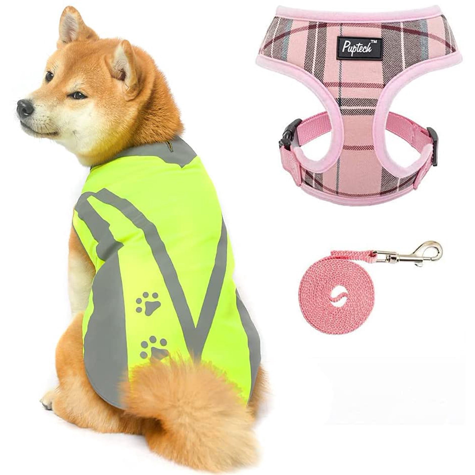 Do Dogs Enjoy Hunting