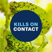 BioAdvanced Fruit & Vegetable 3-in-1, Ready-to-Use, 24 oz. Kills Listed Fungus, Insects and Mites!