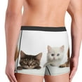 thumbnail image 4 of KLL Cute Kittens And Puppy Men's Cotton Boxer Briefs Underwear-Small, 4 of 7