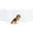 4 Panel - 80''W x 24''H, variant on Clear Acrylic Freestanding Dog Gates for the House – Folding 3-Panel Pet Gates for Doorways, Indoor Stairs, and Hallways, Transparent Barrier for Dogs, Puppies, and Cats