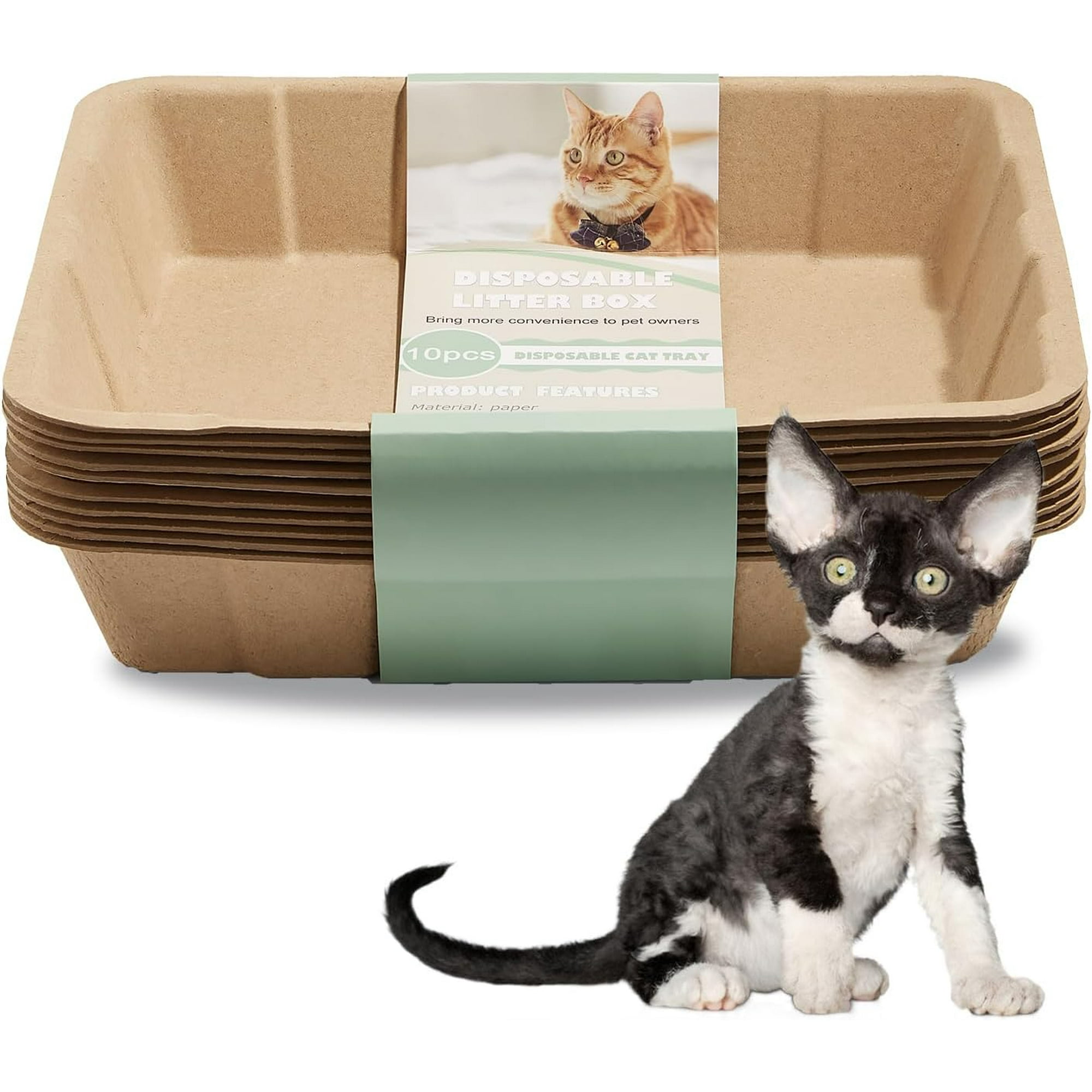 Disposable cat carrier online