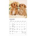 thumbnail image 2 of Chiots | 2027 7x14" (Hanging) Mini Wall Calendar | French Language, 2 of 5