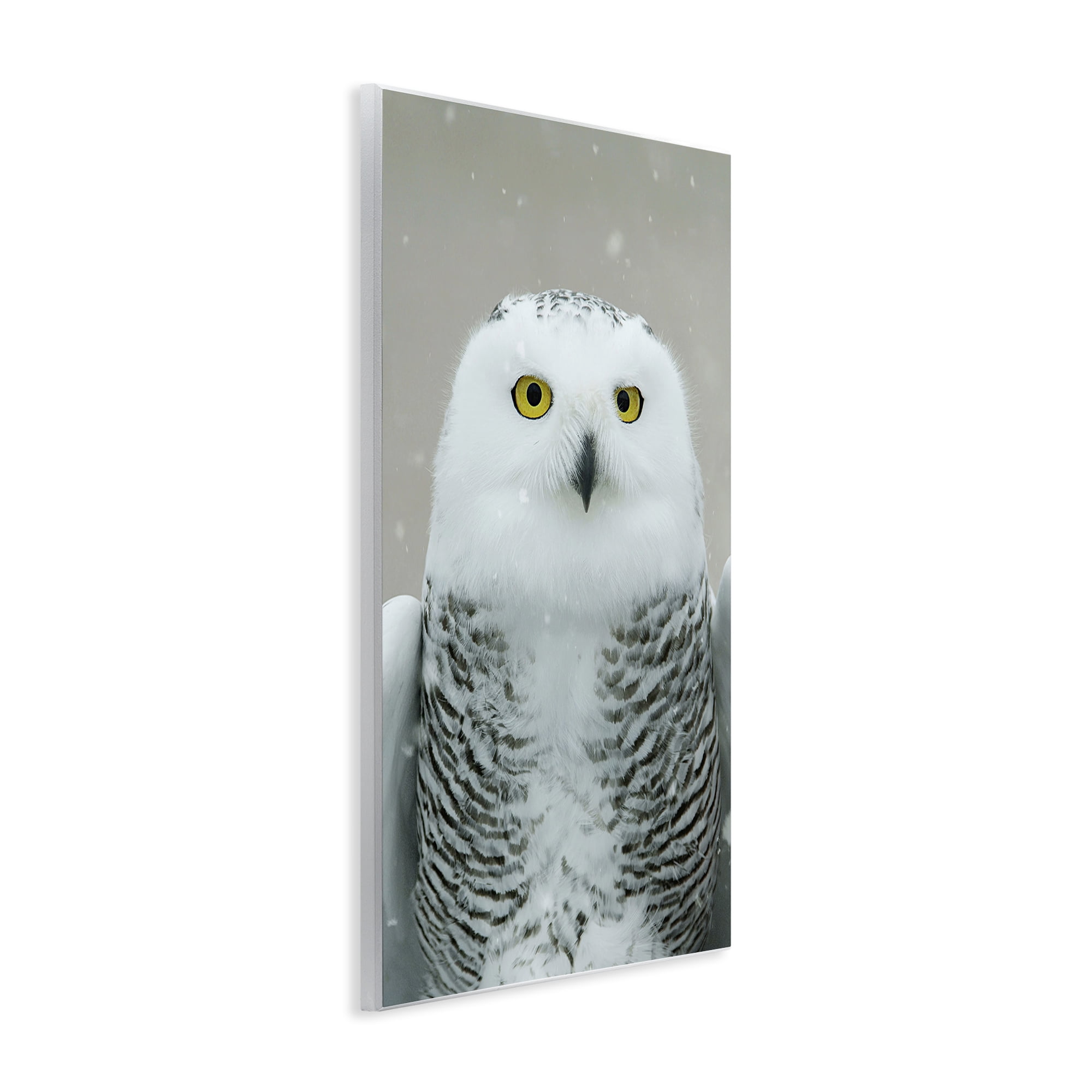 Stupell Industries Snowy Owl Portrait Animals & Insects Photography Unframed Art Print Wall Art, 13 x 19