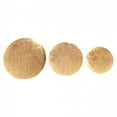 thumbnail image 1 of Ren-Wil W6342 Rectangular Petal Shield Wall Decor - Small, 1 of 1