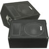 Seismic Audio Fault Line FL-12MP 2-way Indoor Floor Standing Speaker, 300 W RMS, Black