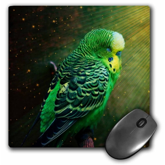 3dRose, Budgie in the Nature, MousePad