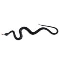 thumbnail image 1 of Juguete de Broma Serpiente de goma 22 cm Sunnimix, 1 of 8