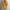 Yellow, variant on jjayotai Womens Sweater Clearance Women Casual Soild Long Sleeve Button Knit Pullover V-neck Sweater Coat