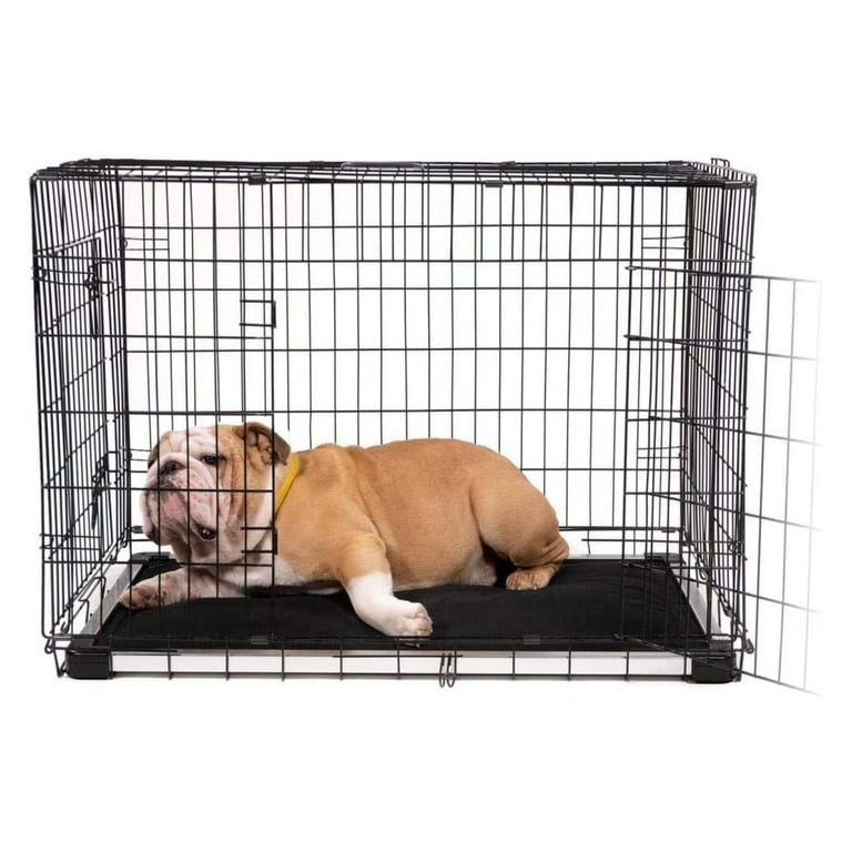 Walmart dog cheap crate pad