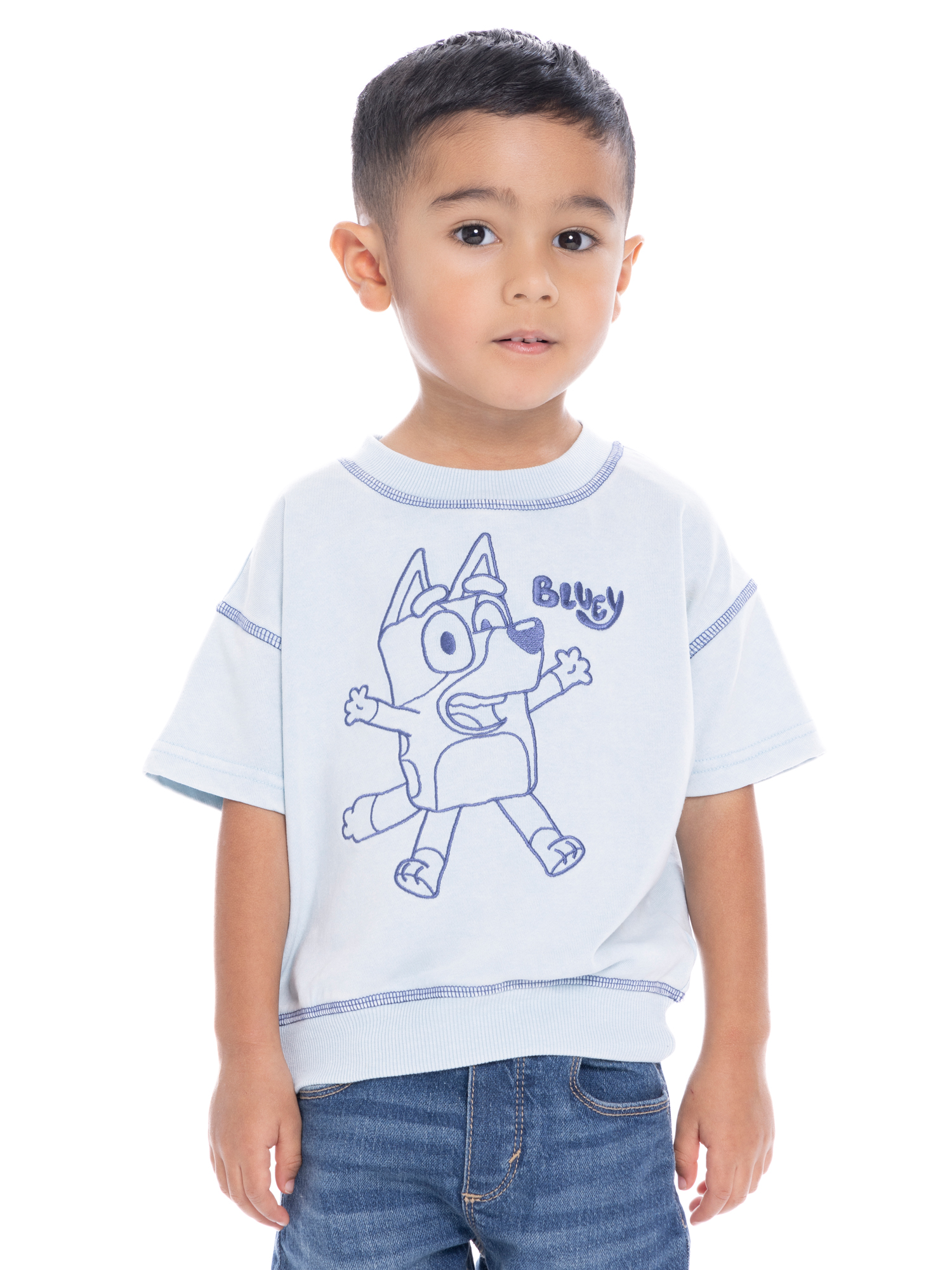 Bluey Toddler Boy Embroidered Graphic Short Sleeve Crewneck Sweatshirts, Sizes 12 Months- 5T