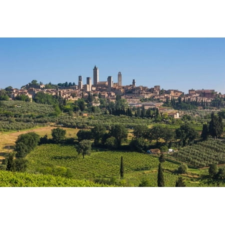 San Gimignano, Siena Province, Tuscany, Italy. Fields surrounding the medieval town famous for i... Print Wall