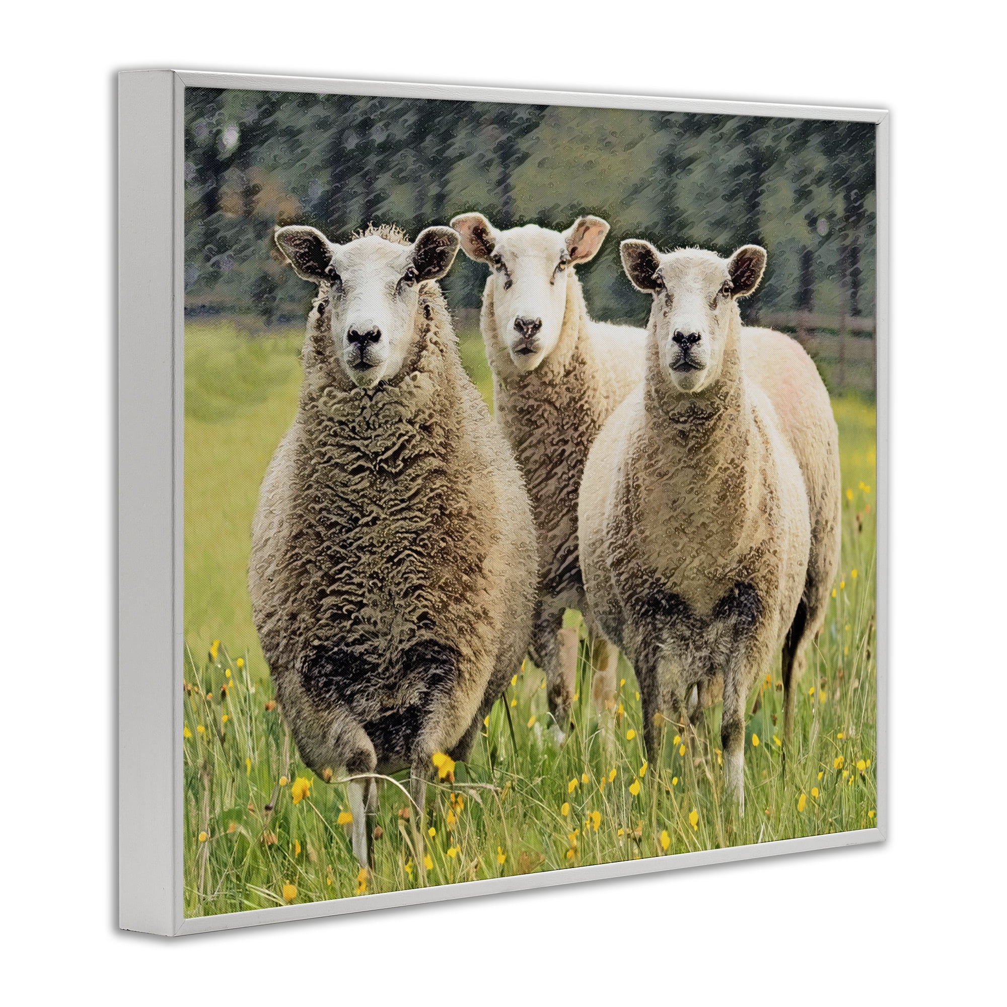 Stupell Industries Sheep Grazing in Grass Animals & Insects Painting White Framed Art Print Wall Art, 30 x 24