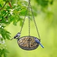 thumbnail image 3 of Pakyozj Hanging Bird Feeder, Birdfeeder Hanging for Garden Yard Outside Hanging Bird Feeder Tray - Metal Mesh Platform Feeders for Birds Outside Outdoors Hanging for Attracting Birds, 3 of 6