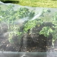 thumbnail image 5 of Fymlhomi Mosquito Bug Insect Bird Net with Sewn Edges - 10 Ft x 20 Ft Barrier Hunting Blind Plant Cover Garden Mesh Netting for Protect Your Vegetables, Fruits, Flower & Trees, 5 of 6