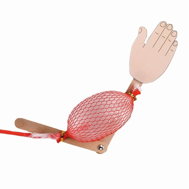 Shisuyan 4pcs Anatomy Model Fake Body Parts Anatomy Study Tools Science Kits Learning Body Part Model Anatomical Muscle Model Muscle Display Model