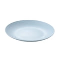 thumbnail image 5 of 6pcs 7.9 inch Unbreakable Dinner Plates,Reusable Plastic Plates,Dishwasher & Microwave Safe,Lightweight Dinnerware Plat Set for Kitchen,Camping(Blue), 5 of 6