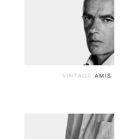 Pre-Owned Vintage Amis (Paperback) 1400033993 9781400033997