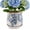 Blue Meadow, variant on Ceramic-Planters-for-Indoor-Plants with Saucer, 6 inch Vintage Ice Crackle Glaze Plant Pots with Drainage Holes, Decorative Flower Pots for Outdoor Garden Home Decor, Tuscan Pot for Plant