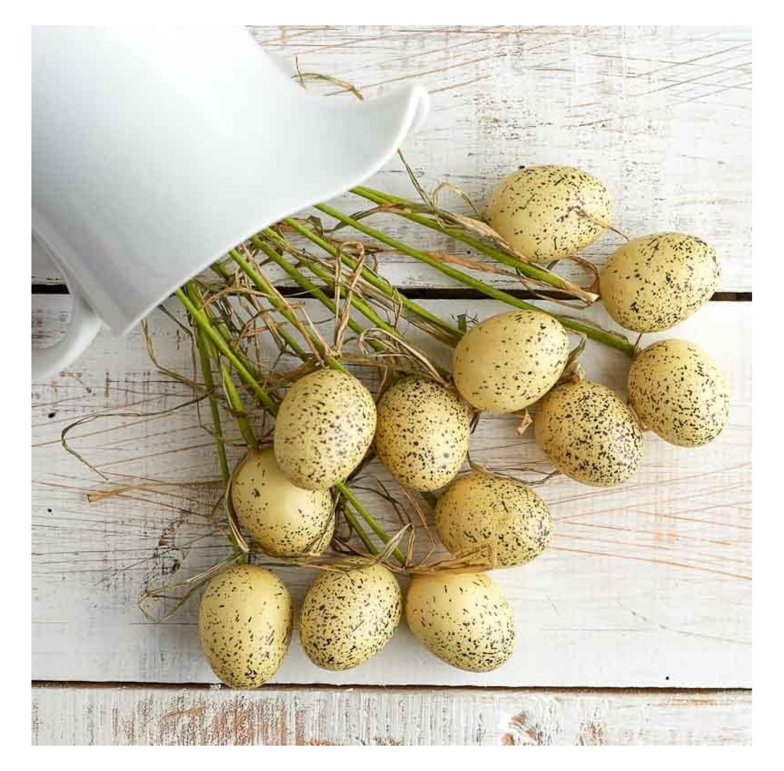 HeSLehs Package of 12 Unique Cream Speckled Eggs and Raffia Stems