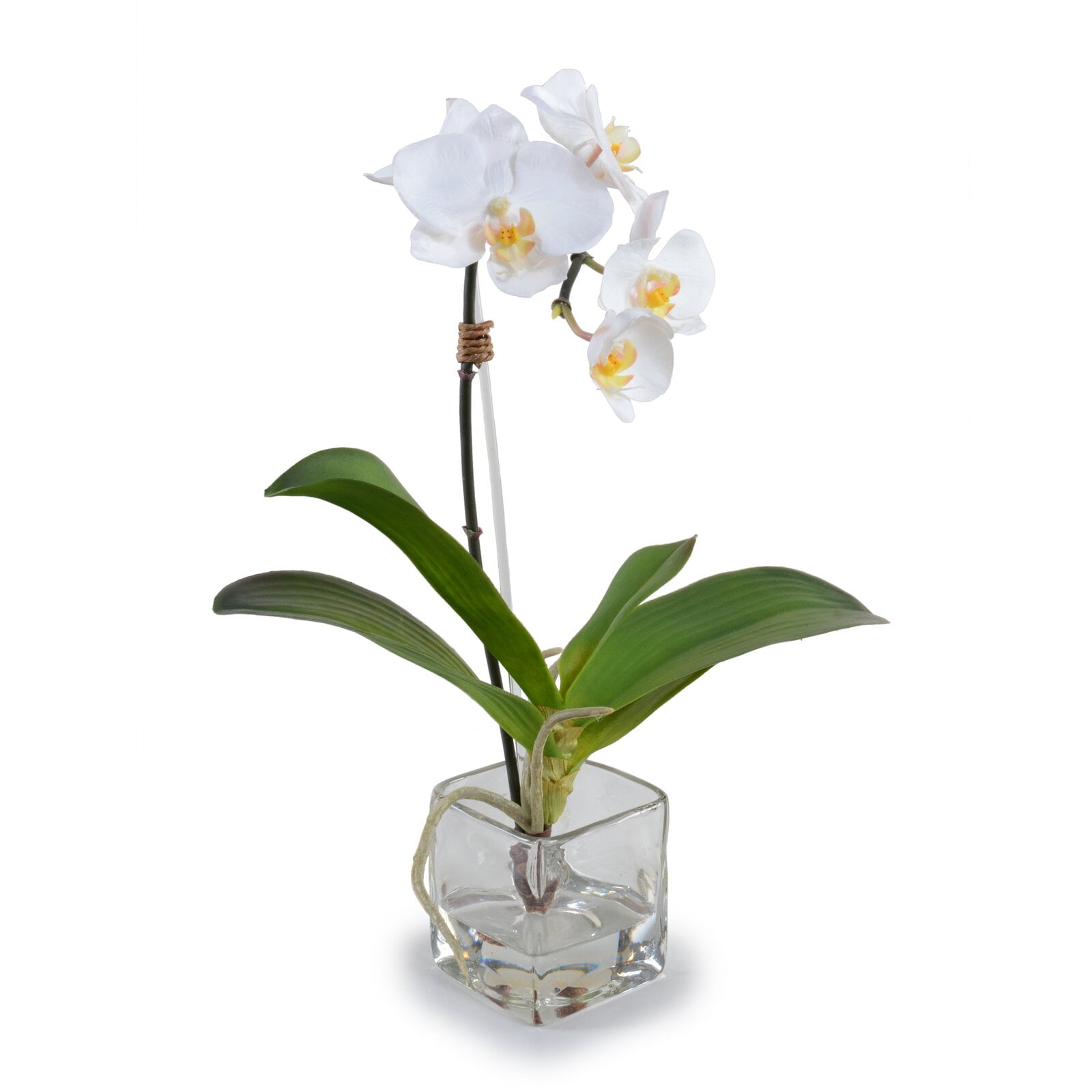 Small Faux Phalaenopsis Orchid Floral Arrangement in Vase, Container Color Clear, Overall 15