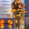thumbnail image 3 of Guirnalda de otoño Decoraciones de otoño 3M 30 Luces de cadena con pilas Decoraciones navideñas de Halloween Decoraciones de acción de gracias Decoraciones de pared esquí esquí Gafas de esquí, 3 of 5