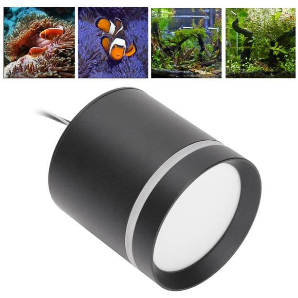 Aspect Fish Light Aquarium LED Light, Full Spectrum Fish Clip On Light With Remote, Fish ...