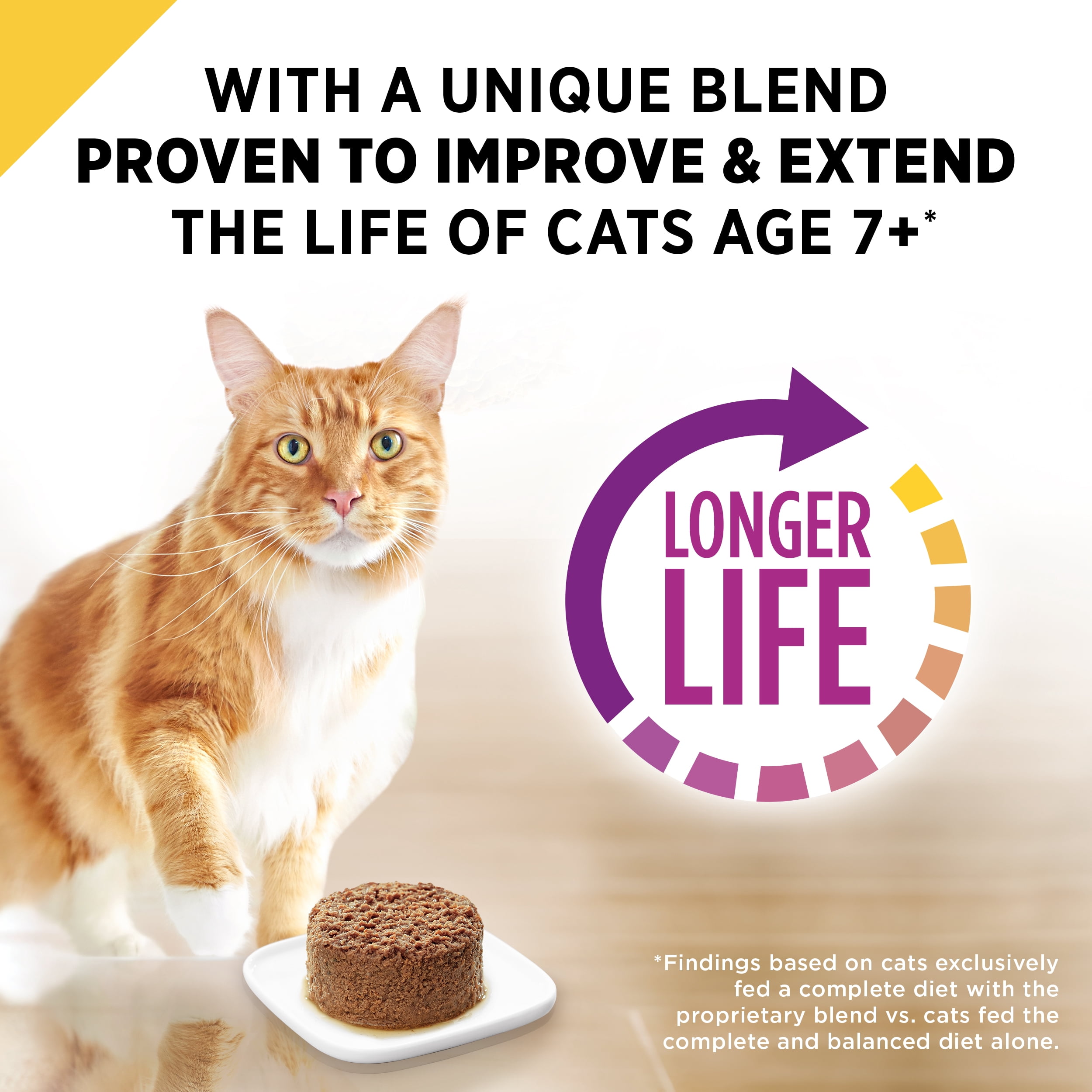 purina senior wet cat food