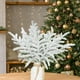 thumbnail image 5 of 20 piezas de ramas de nieve de Norfolk para Navidad, agujas de árbol, pequeñas ramitas de Norfolk para mesa de exterior, 5 of 9