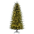 thumbnail image 6 of Vickerman 9' x 53" Georgian Fraser Fir Artificial Pre-Lit Christmas Tree with Folding Metal Tree Stand, 6 of 11