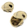 thumbnail image 3 of Powerlong Crawler Escondite Cueva Selva Tropical Desierto Reptiles Casa Tamaño L, 3 of 5