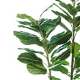 thumbnail image 3 of Artificial Fiddle Leaf Fig Plant in Planter (Set of 2), 3 of 8