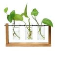 thumbnail image 1 of Terrarium Creative Hydroponic Plant Transparent Vases Flower Pot Wooden Frame Glass Table Plant Home Bonsai Embellishment, 1 of 9