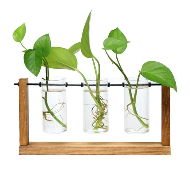 Terrarium Creative Hydroponic Plant Transparent Vases Flower Pot Wooden Frame Glass Table Plant Home Bonsai Embellishment