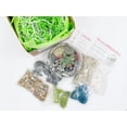 thumbnail image 6 of DIY Succulent Terrarium Gift Kit with Plants, Fairy Garden Kit with Reindeer Moss, 6 of 9