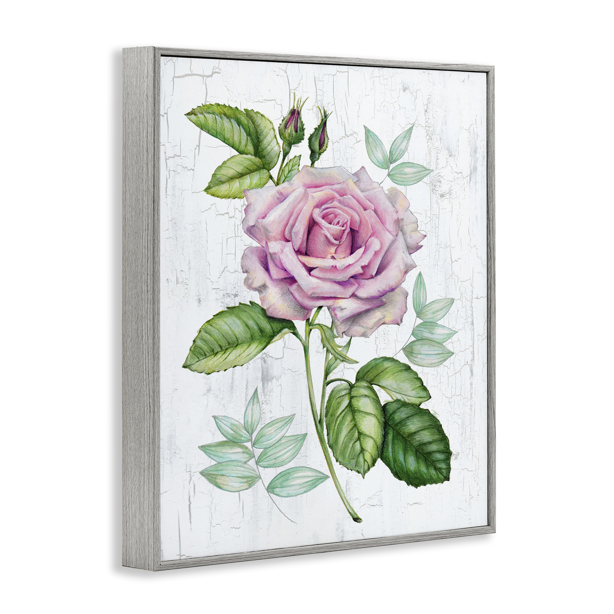 Stupell Industries English Manor Rose Botanical & Floral Painting Gray Framed Art Print Wall Art, 16 x 20