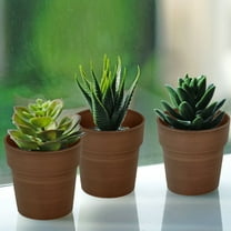 Efavormart 3 Packs | 3" Rustic Brown Succulent Pots, Indoor Outdoor Small Planters Décor