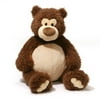 Doyle Bear 20 inch - Teddy Bear by GUND (4056331)
