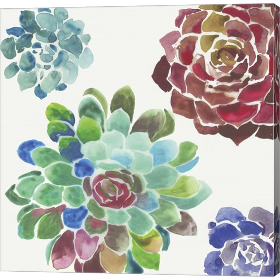 Water Succulents I by Aimee Wilson, Canvas Wall Art, 12W x 12H