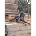 thumbnail image 2 of Pechera K9 Tactica Reflejante Personalizada Pastor Belga, 2 of 8