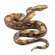 thumbnail image 1 of Juguete de serpiente realista de goma de alta simulación, juguete de serpiente falsa, modelo de pitón, accesorios de jardín y Halloween, espeluznante, 1 of 5