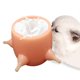 thumbnail image 3 of Comedero Silicona para Cachorros 5 Pezones para Perro Recién Nacido Diseño Zulema Alimentador de leche para cachorros, 3 of 8