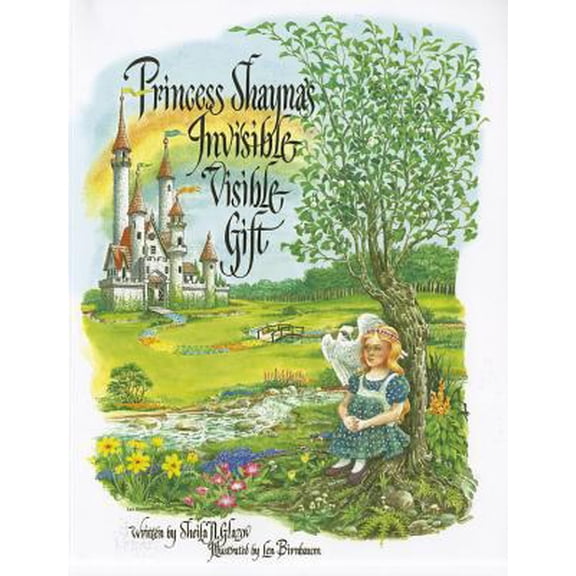 Pre-Owned Princess Shayna's Invisible Visible Gift (Paperback) 1617110353 9781617110351
