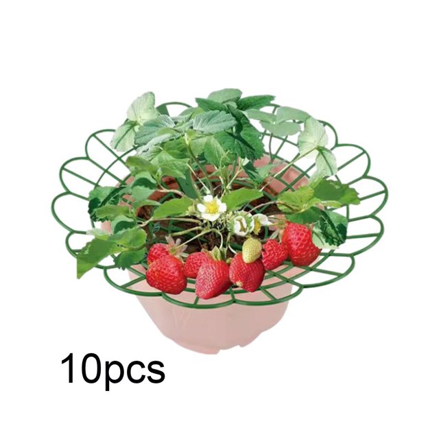 10 soportes para fresas, soporte para plantas trepadoras, soporte para frutas, para cultivo de fresas para césped, balcón, patio, exterior.