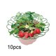thumbnail image 1 of 10 piezas de soporte para plantas de fresa, de cultivo de fresas, soporte para macetas verde resistente de rendimiento para balcón interior, 1 of 8