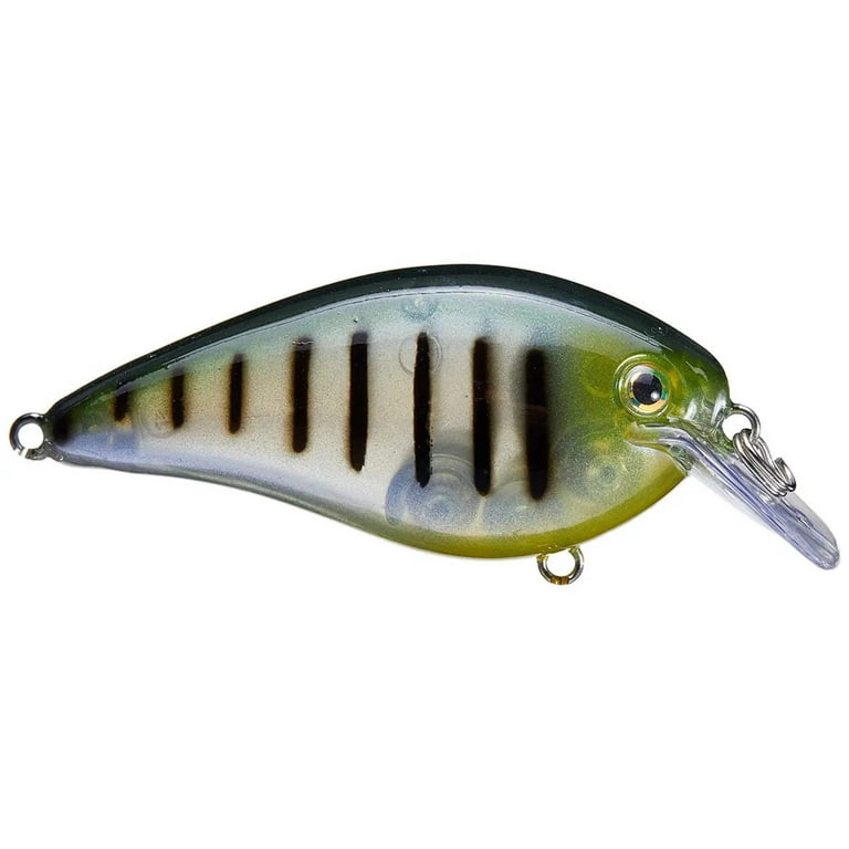 ポリス Sexy Shad POLICE（タイニークラッシュ クラッシュ9 ポリス Sexy Shad POLICE（タイニークラッシュ クラッシュ9