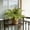E, variant on Seyotauo Artificial Plants Outdoor, Fake Plants Outdoor UV Resistant Fake Plants Faux Greenery Plastic Plants Bushes for Garden Patio Porch Window Box Home Wedding Decor